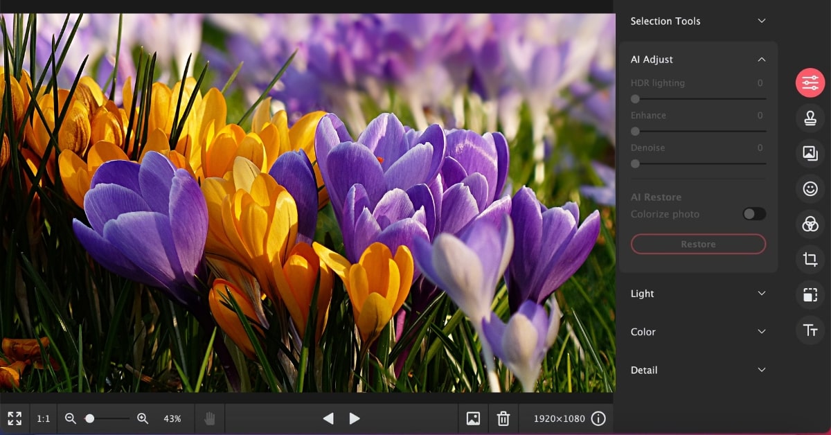 Photo Editors Easy-to-Use