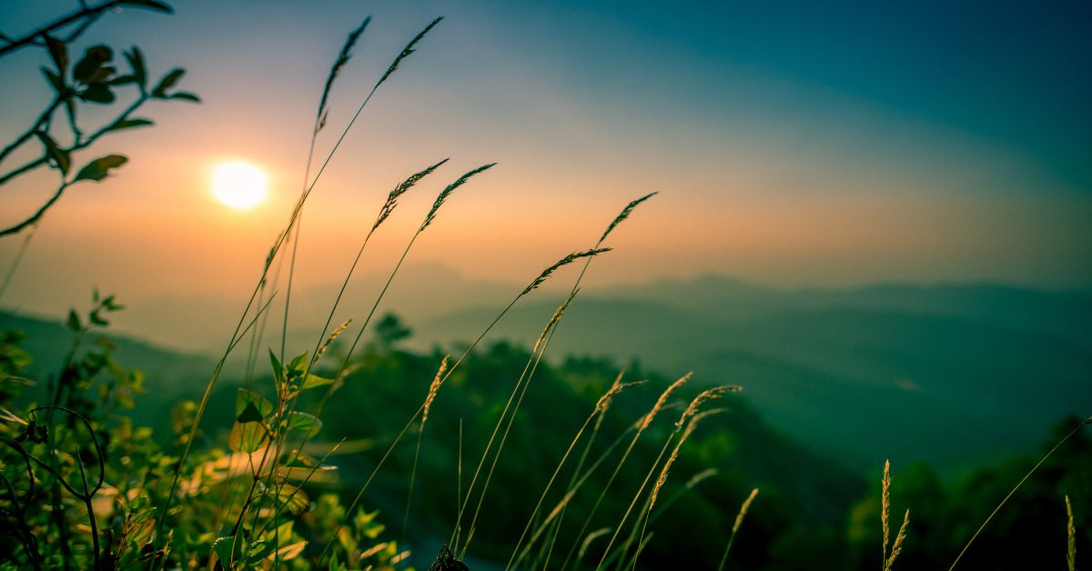 Photo Editor for Raw Editing