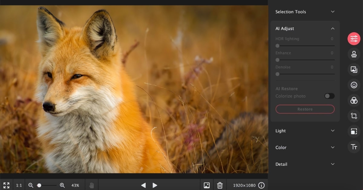 The Best Free Photo Editing Software