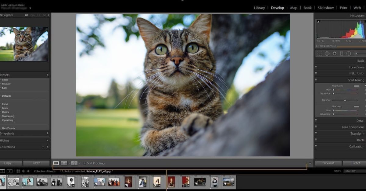 Good Photoshop Software